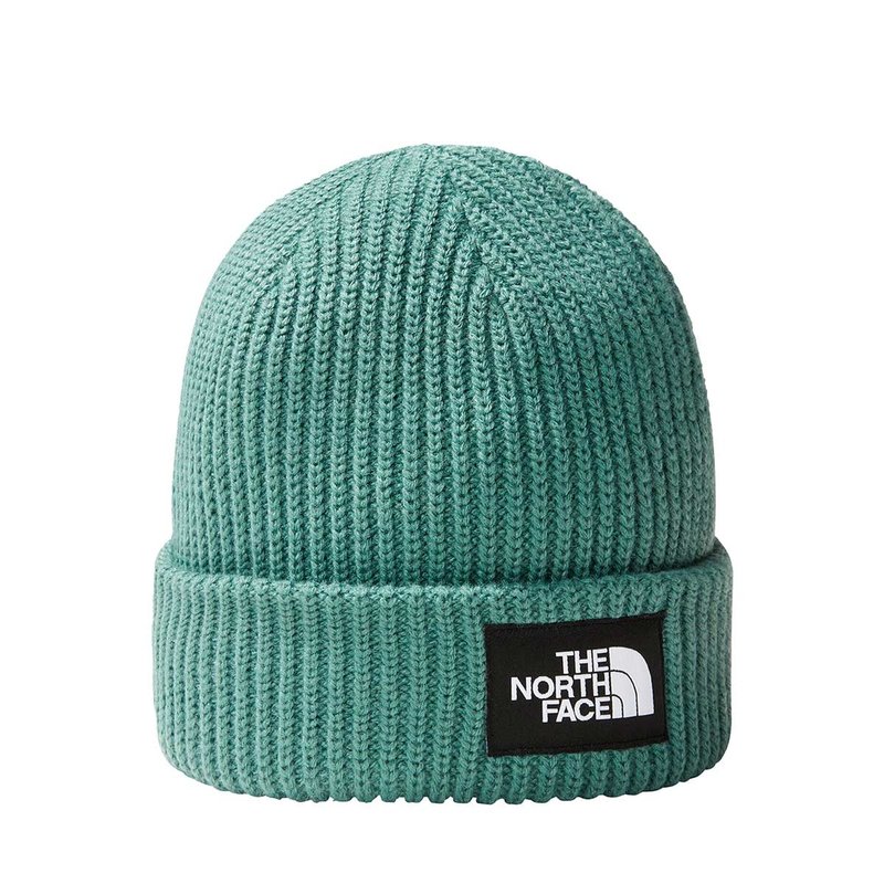 gorro the north face unissex salty dog verde agua lupastore 1
